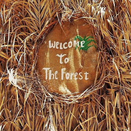 Forest Camp Siwa - كامب الغابة Szíva-oázis Kültér fotó