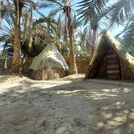 Forest Camp Siwa - كامب الغابة Szíva-oázis Kültér fotó