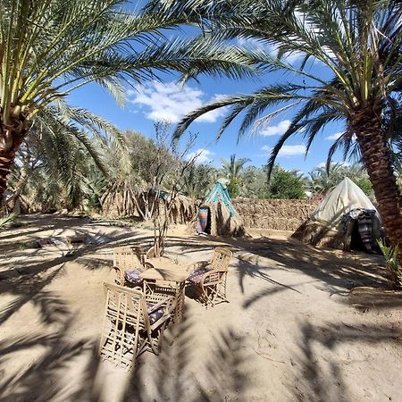 Forest Camp Siwa - كامب الغابة Szíva-oázis Kültér fotó