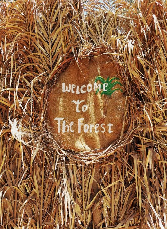 Forest Camp Siwa - كامب الغابة Szíva-oázis Kültér fotó