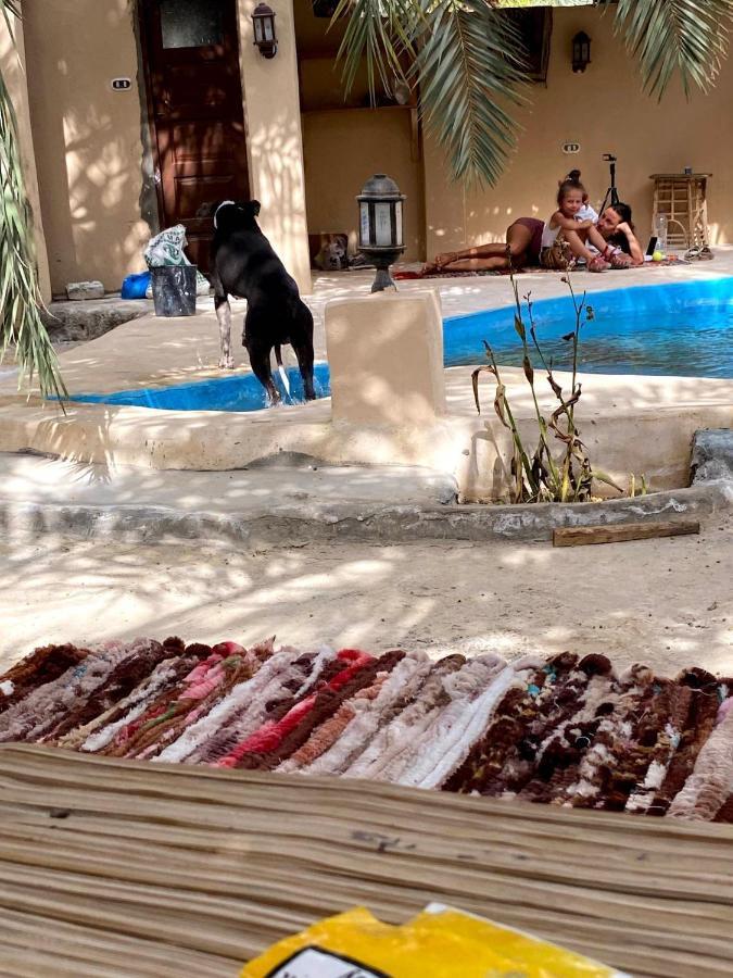 Forest Camp Siwa - كامب الغابة Szíva-oázis Kültér fotó