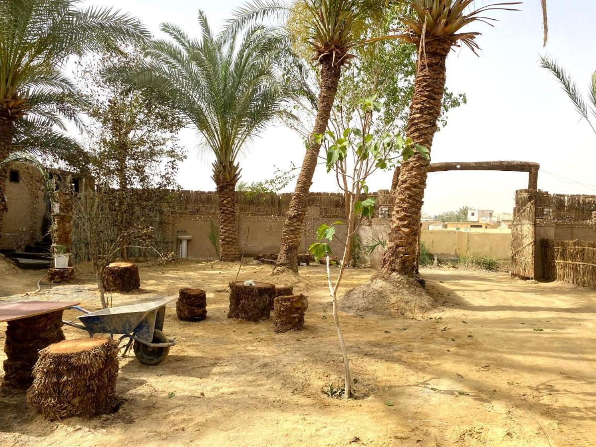 Forest Camp Siwa - كامب الغابة Szíva-oázis Kültér fotó