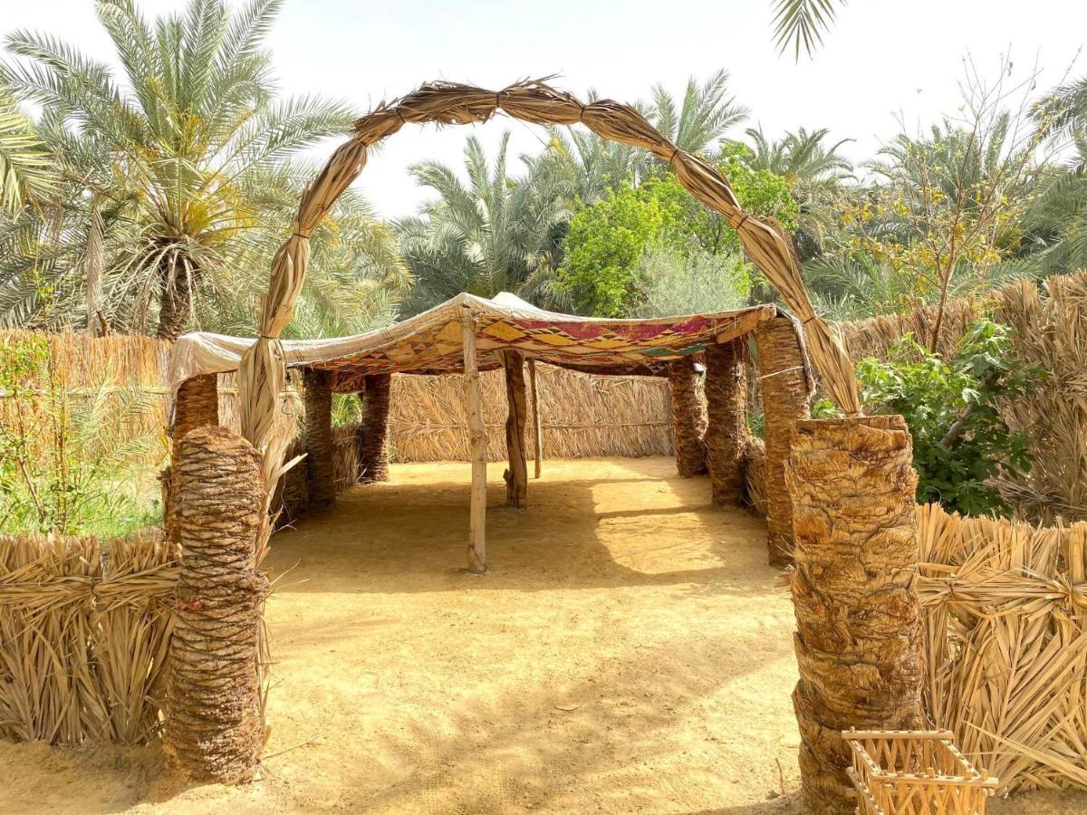 Forest Camp Siwa - كامب الغابة Szíva-oázis Kültér fotó