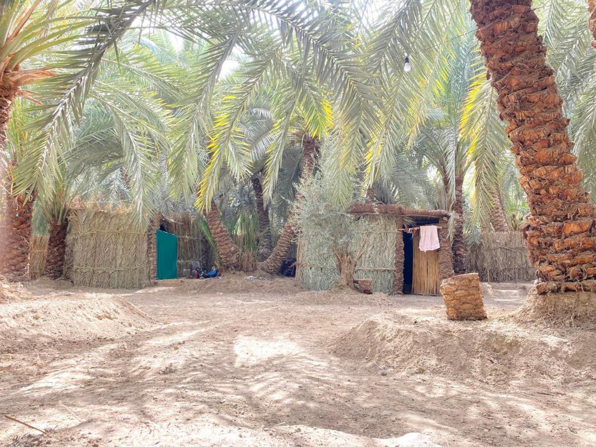 Forest Camp Siwa - كامب الغابة Szíva-oázis Kültér fotó