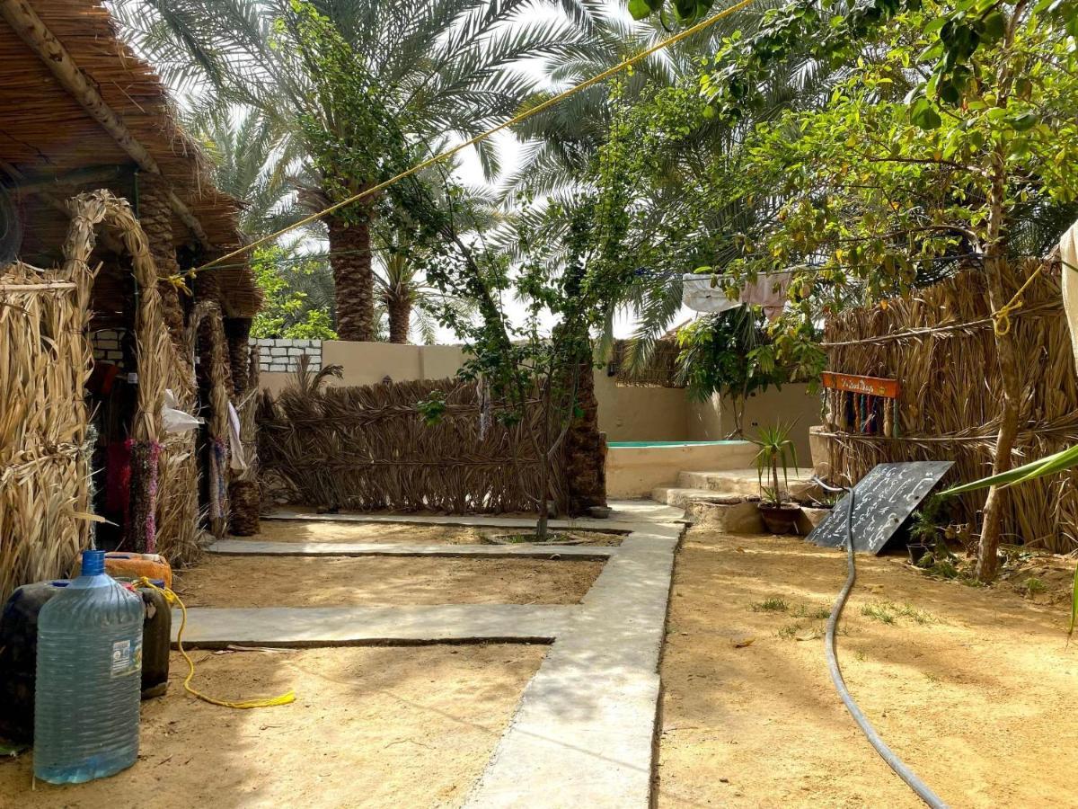 Forest Camp Siwa - كامب الغابة Szíva-oázis Kültér fotó
