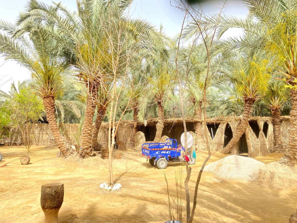 Forest Camp Siwa - كامب الغابة Szíva-oázis Kültér fotó