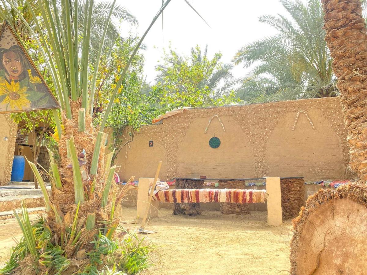 Forest Camp Siwa - كامب الغابة Szíva-oázis Kültér fotó