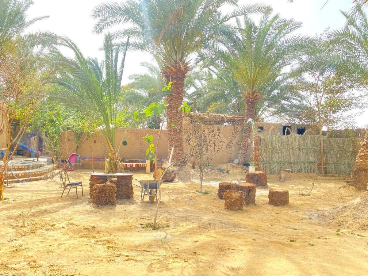 Forest Camp Siwa - كامب الغابة Szíva-oázis Kültér fotó