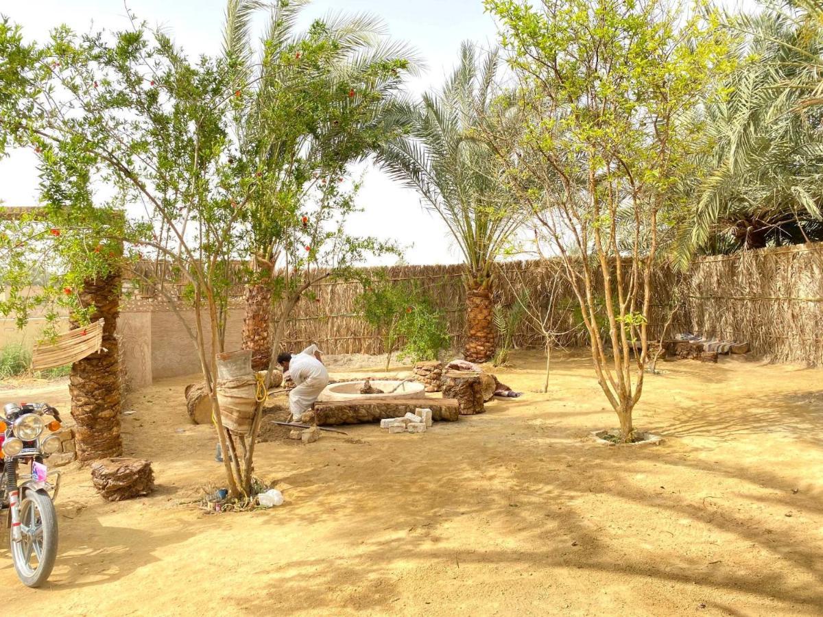 Forest Camp Siwa - كامب الغابة Szíva-oázis Kültér fotó