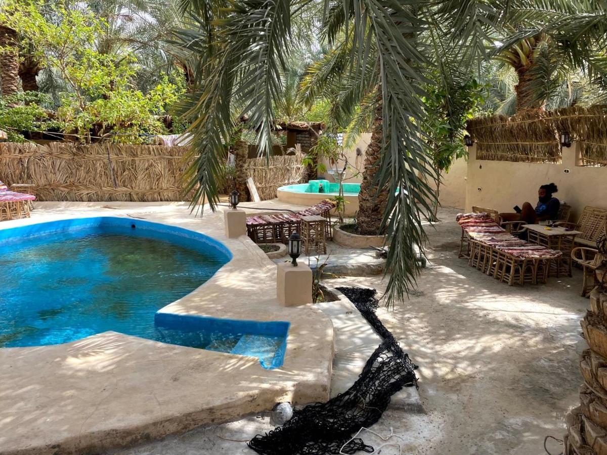 Forest Camp Siwa - كامب الغابة Szíva-oázis Kültér fotó