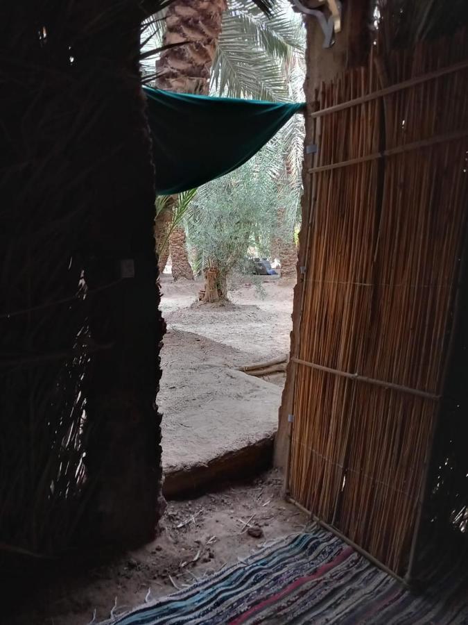 Forest Camp Siwa - كامب الغابة Szíva-oázis Kültér fotó