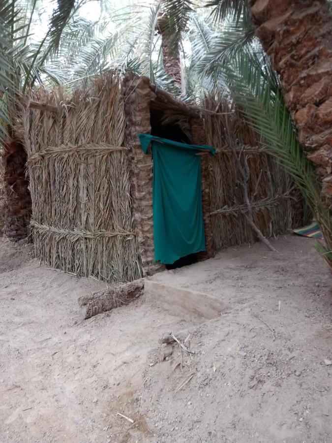 Forest Camp Siwa - كامب الغابة Szíva-oázis Kültér fotó