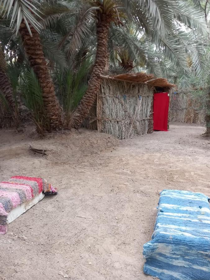Forest Camp Siwa - كامب الغابة Szíva-oázis Kültér fotó
