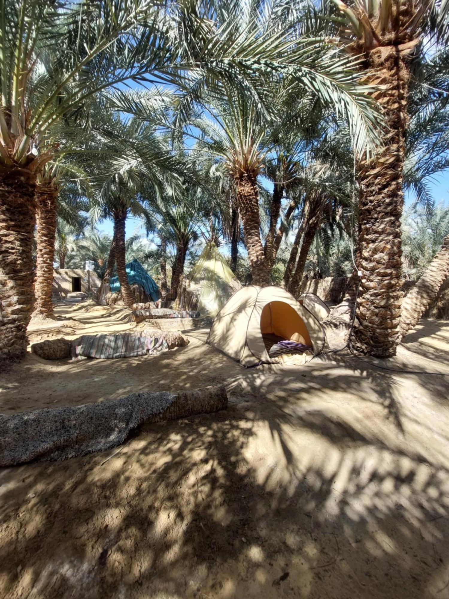Forest Camp Siwa - كامب الغابة Szíva-oázis Kültér fotó