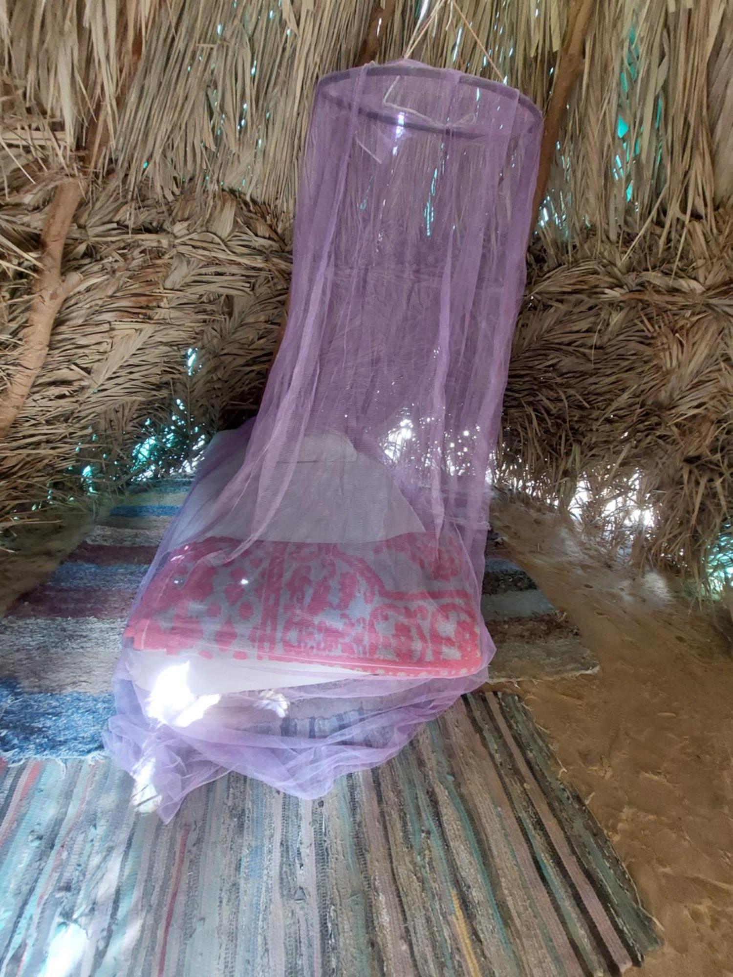 Forest Camp Siwa - كامب الغابة Szíva-oázis Kültér fotó