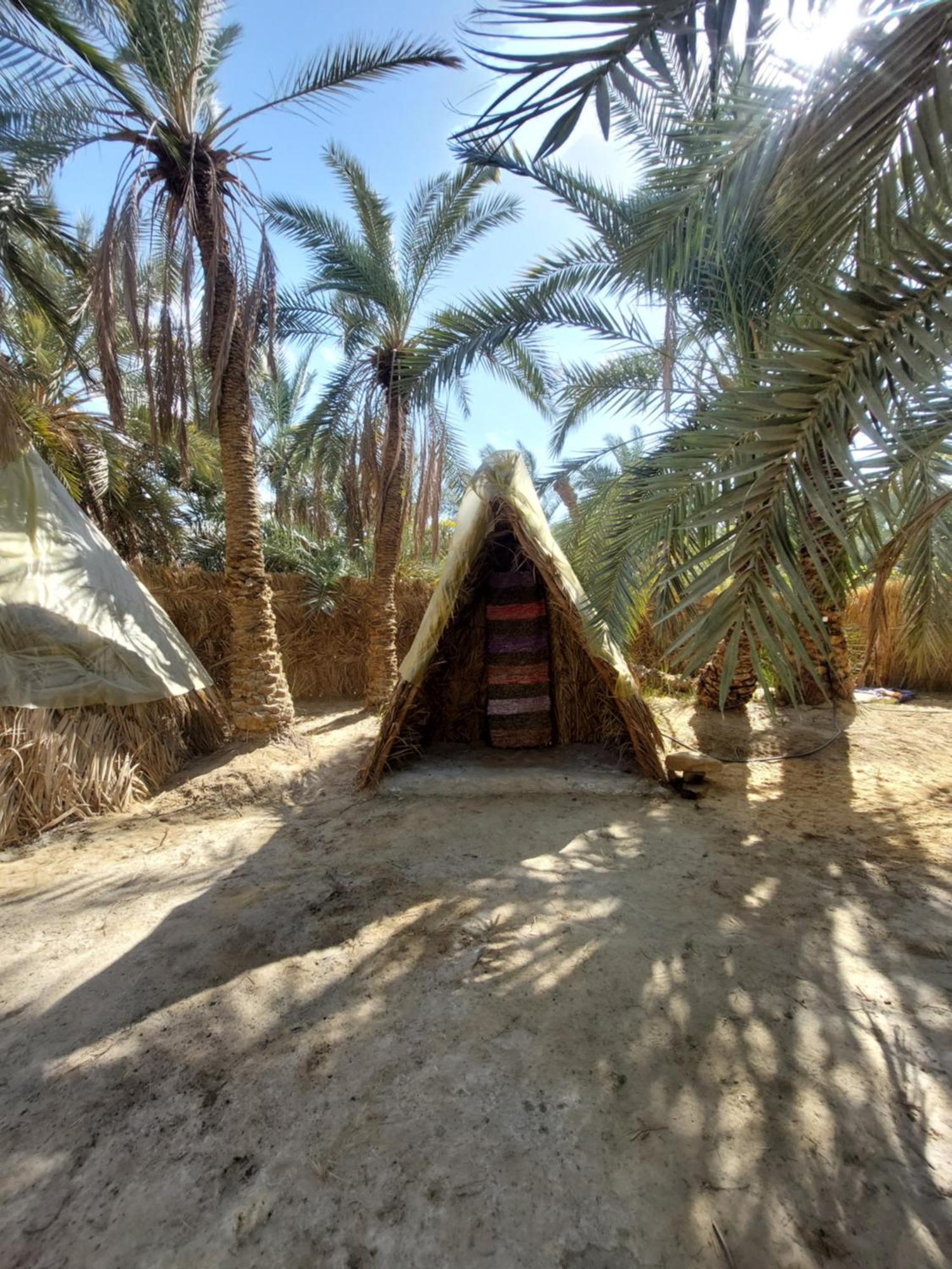 Forest Camp Siwa - كامب الغابة Szíva-oázis Kültér fotó