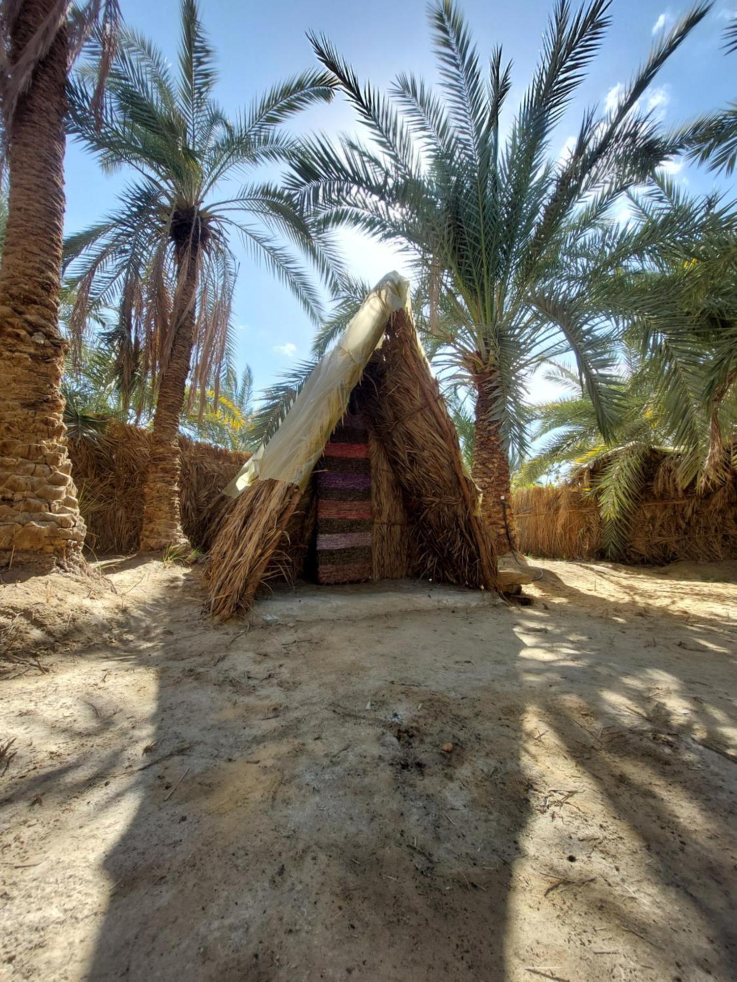 Forest Camp Siwa - كامب الغابة Szíva-oázis Kültér fotó