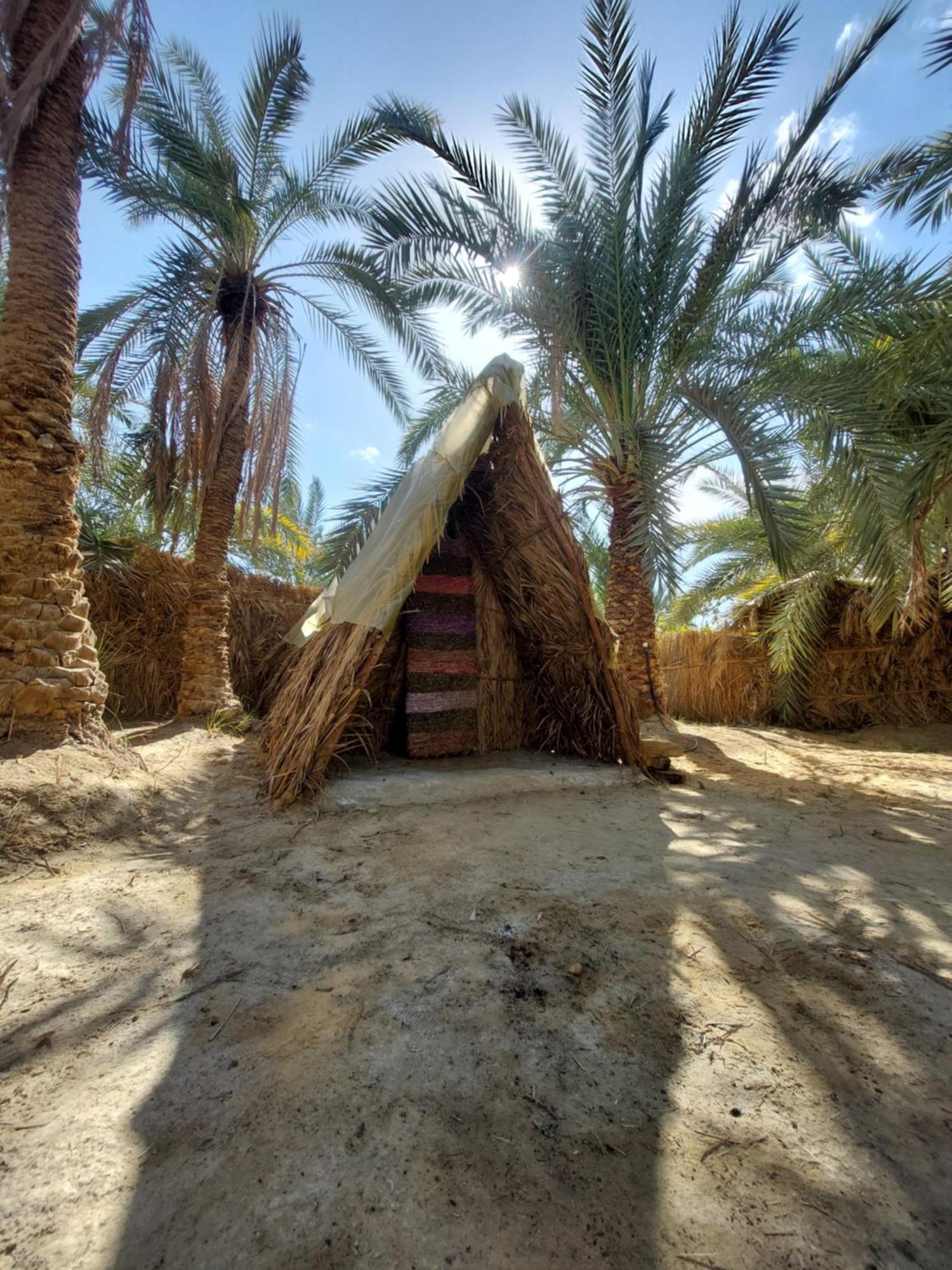 Forest Camp Siwa - كامب الغابة Szíva-oázis Kültér fotó