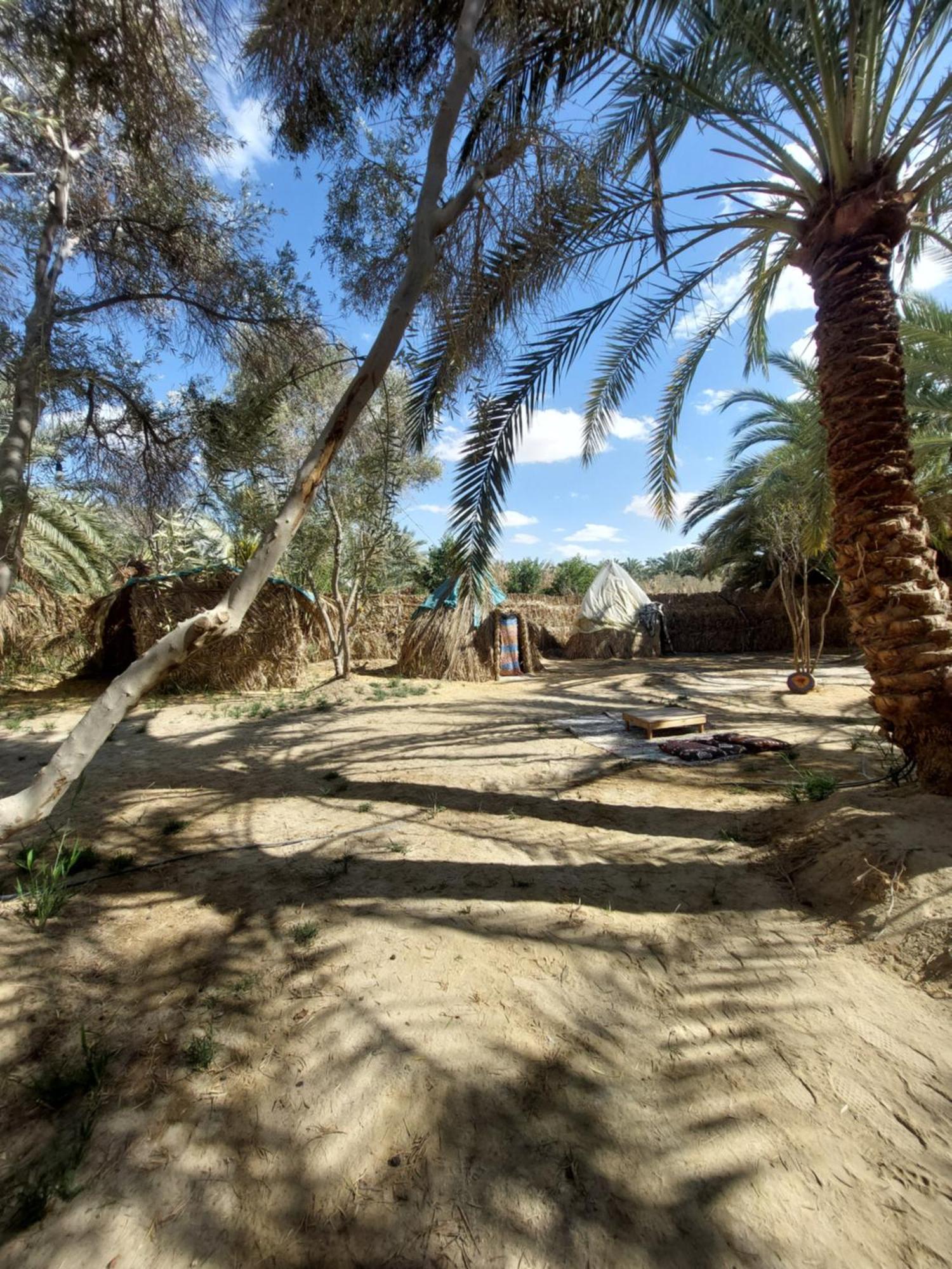 Forest Camp Siwa - كامب الغابة Szíva-oázis Kültér fotó