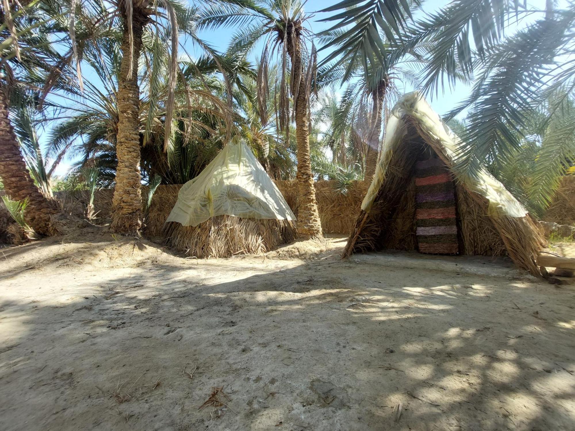 Forest Camp Siwa - كامب الغابة Szíva-oázis Kültér fotó