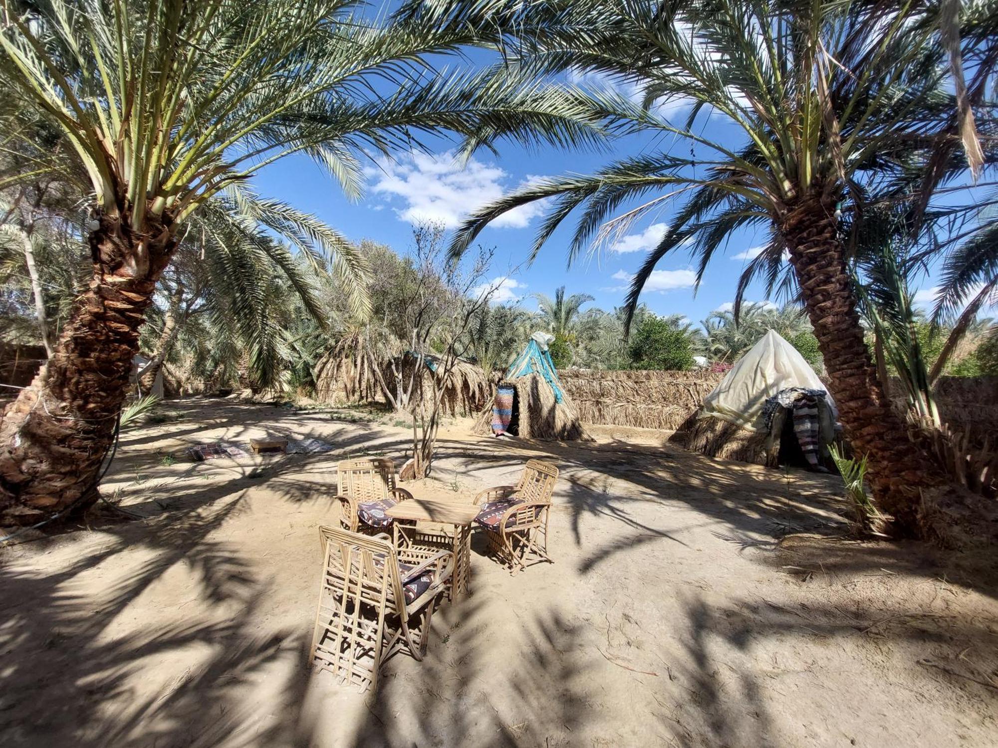 Forest Camp Siwa - كامب الغابة Szíva-oázis Kültér fotó