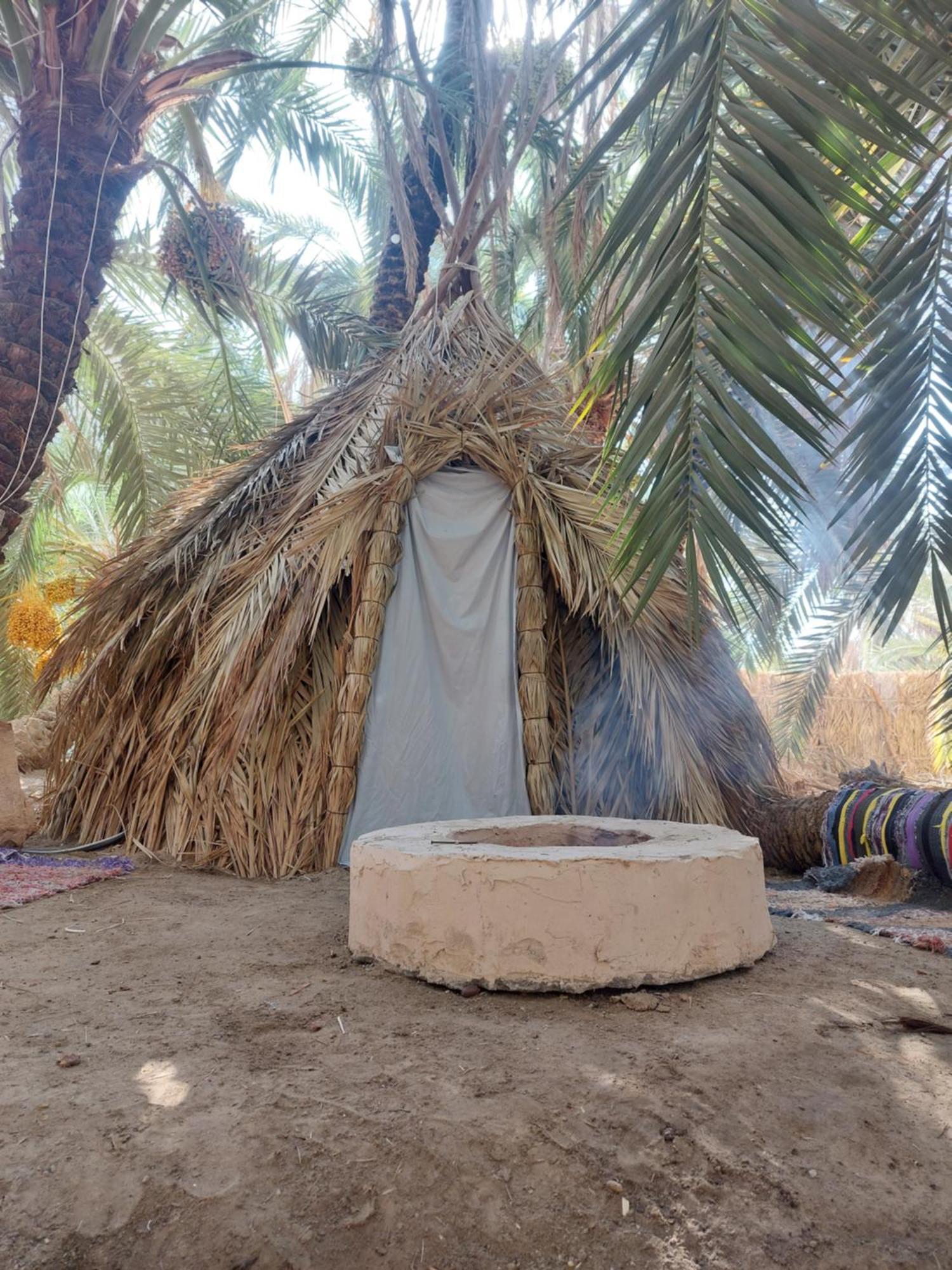 Forest Camp Siwa - كامب الغابة Szíva-oázis Kültér fotó