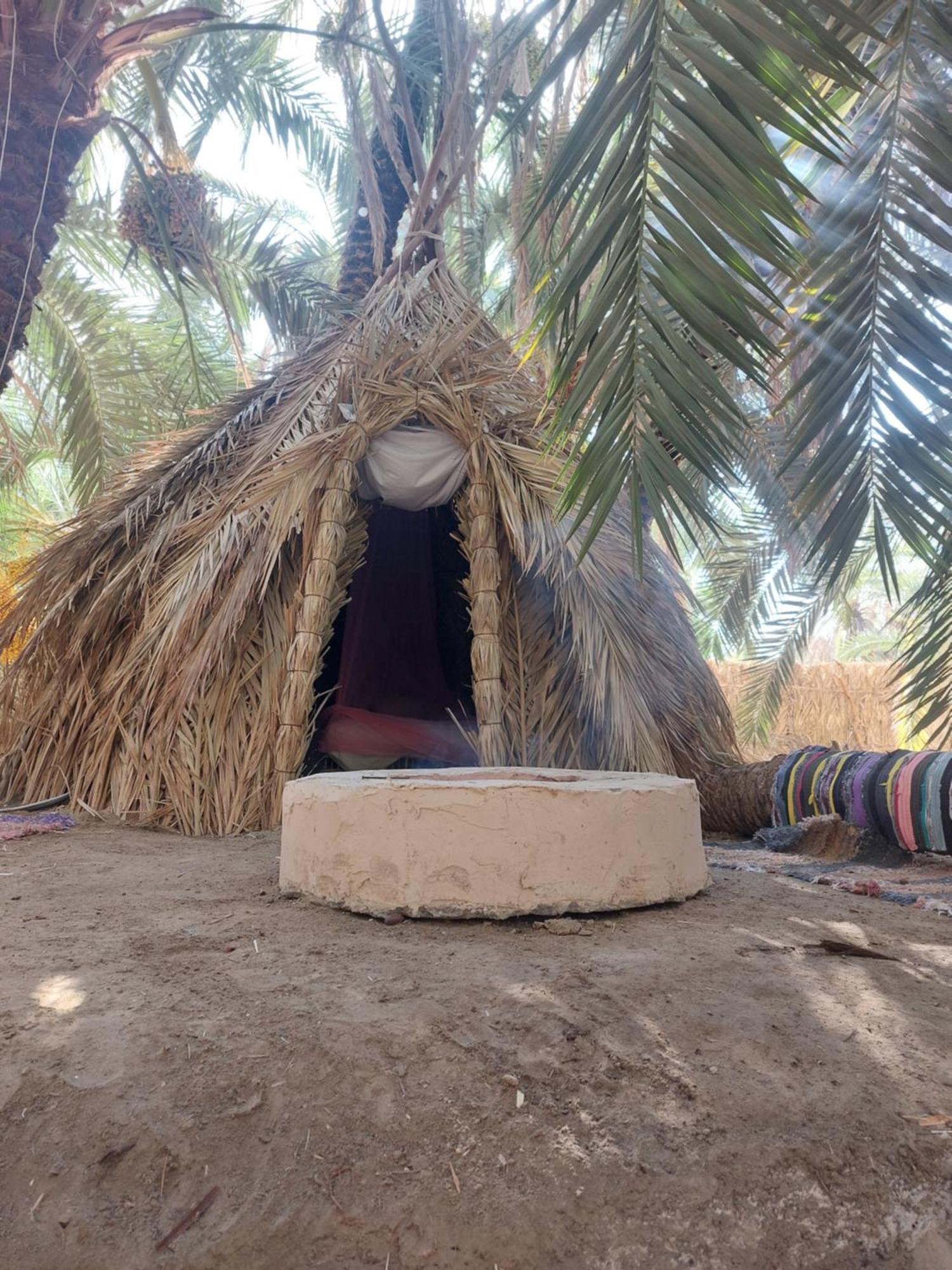 Forest Camp Siwa - كامب الغابة Szíva-oázis Kültér fotó