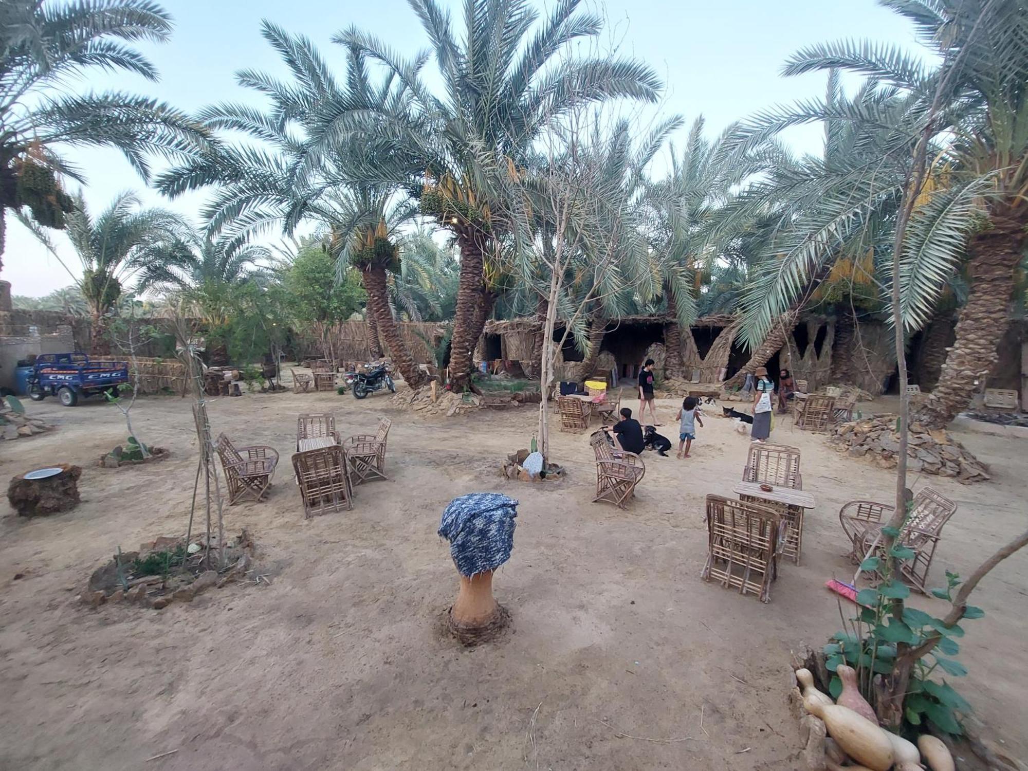 Forest Camp Siwa - كامب الغابة Szíva-oázis Kültér fotó