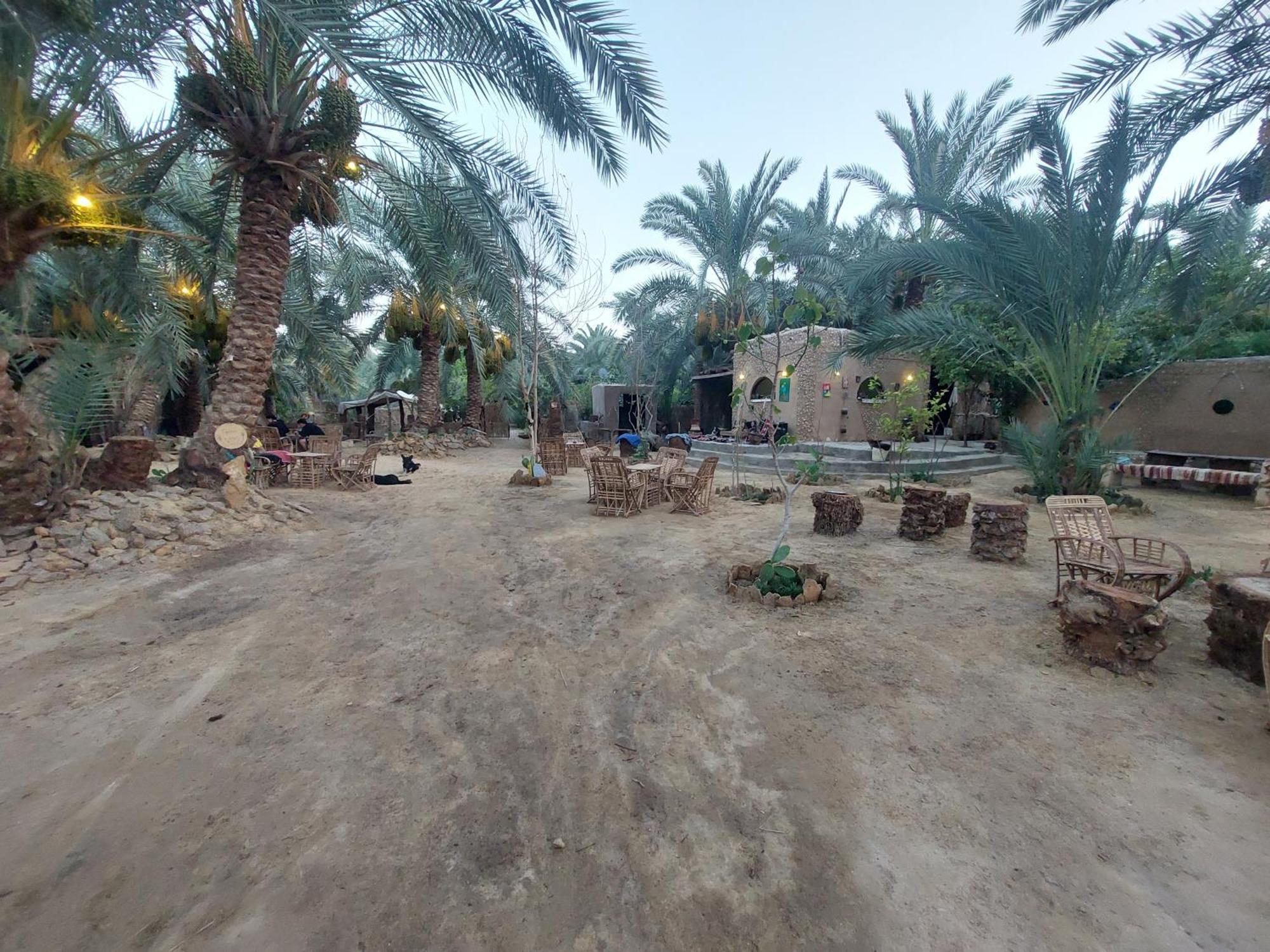 Forest Camp Siwa - كامب الغابة Szíva-oázis Kültér fotó