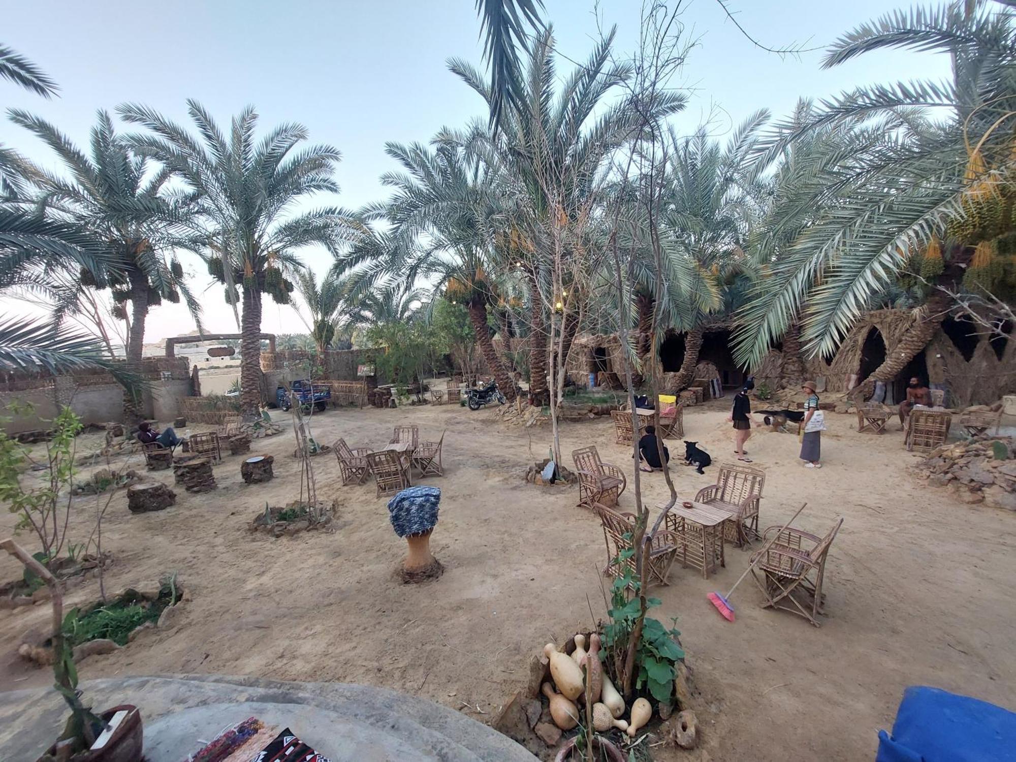 Forest Camp Siwa - كامب الغابة Szíva-oázis Kültér fotó
