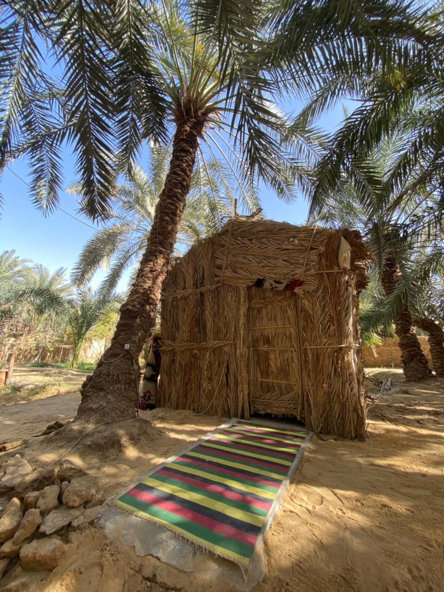 Forest Camp Siwa - كامب الغابة Szíva-oázis Kültér fotó