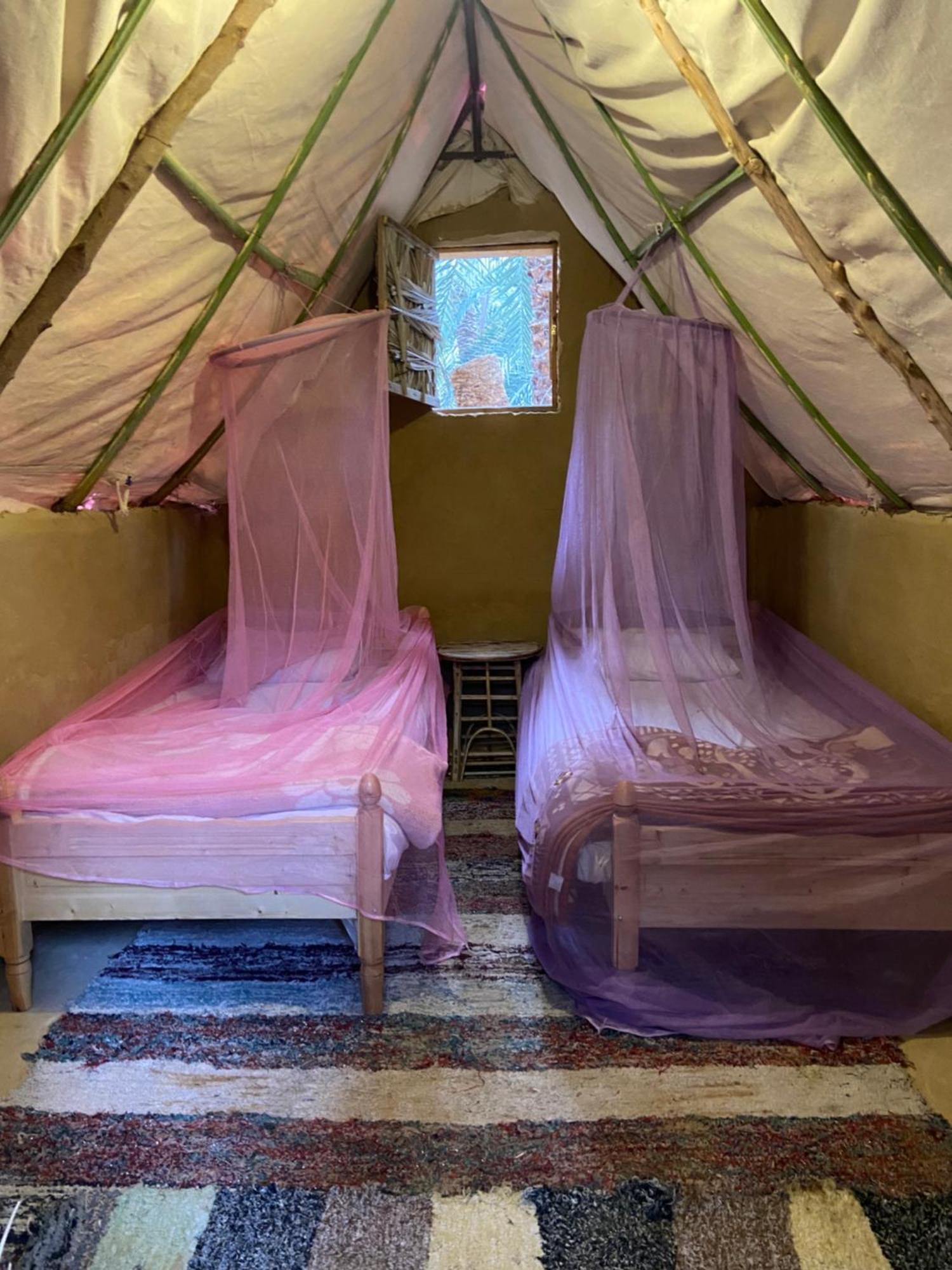 Forest Camp Siwa - كامب الغابة Szíva-oázis Kültér fotó