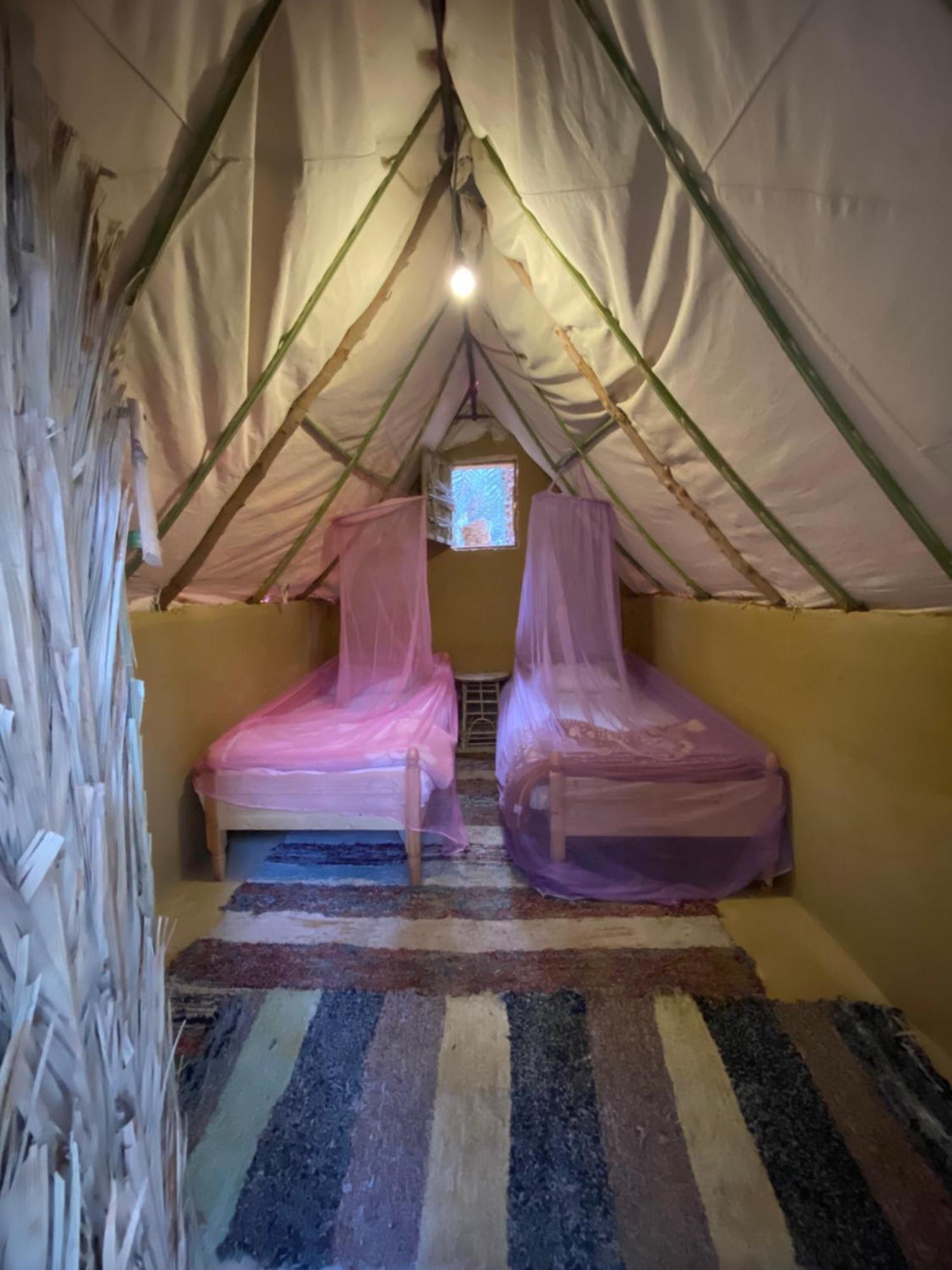 Forest Camp Siwa - كامب الغابة Szíva-oázis Kültér fotó