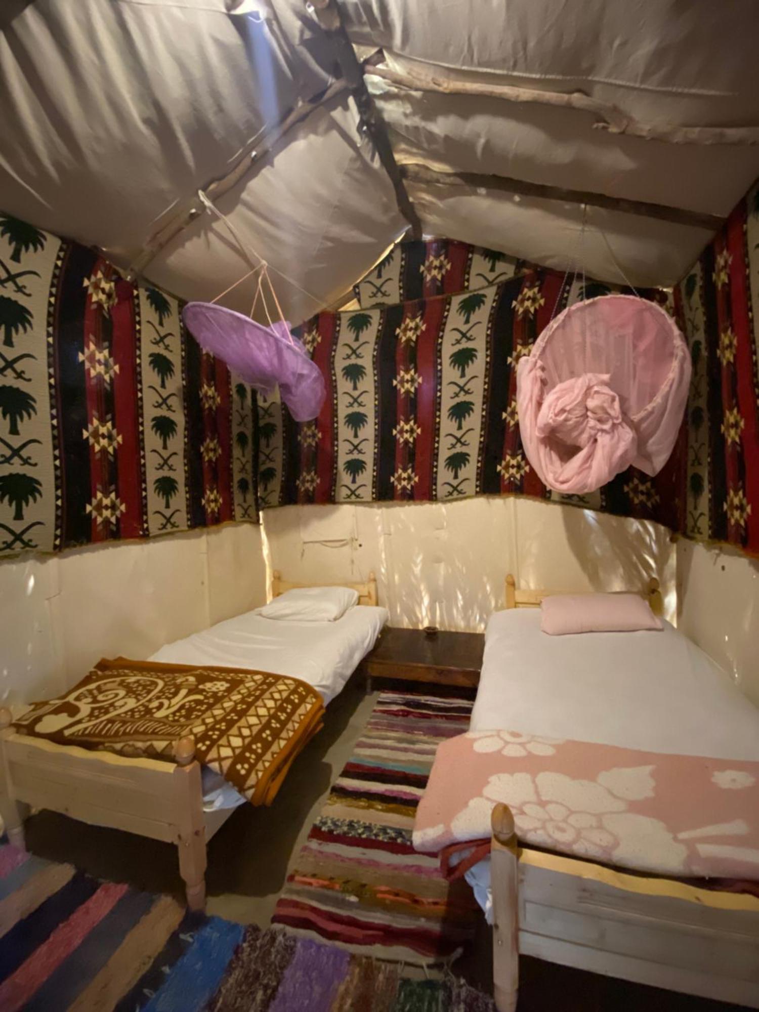 Forest Camp Siwa - كامب الغابة Szíva-oázis Kültér fotó