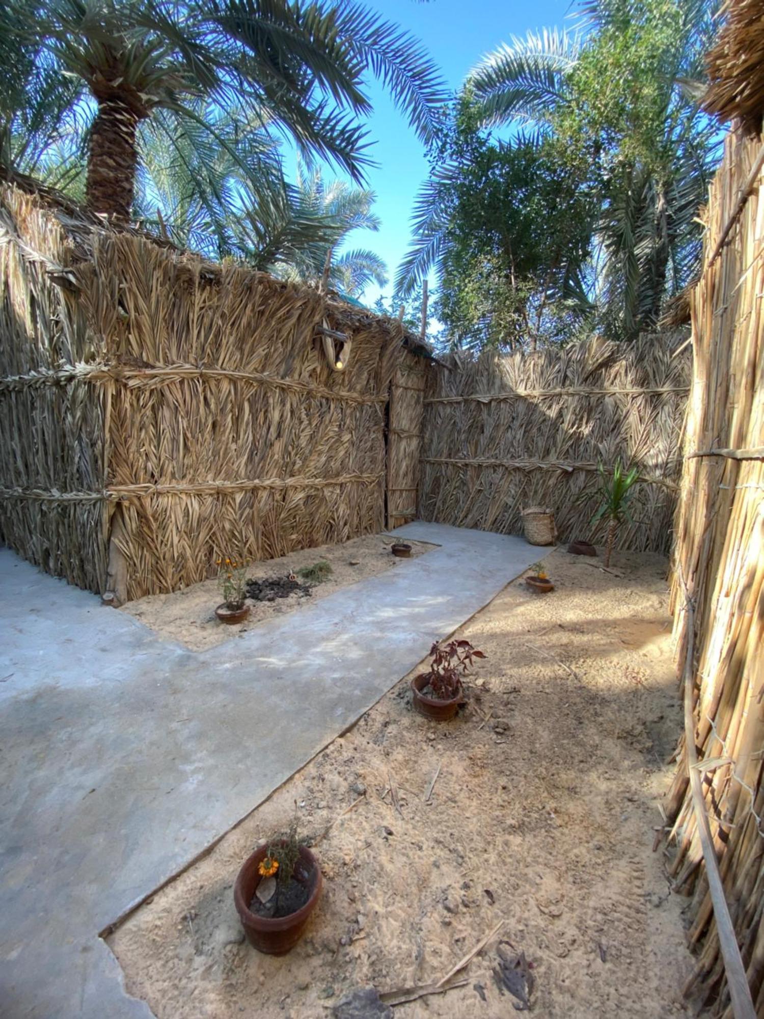 Forest Camp Siwa - كامب الغابة Szíva-oázis Kültér fotó