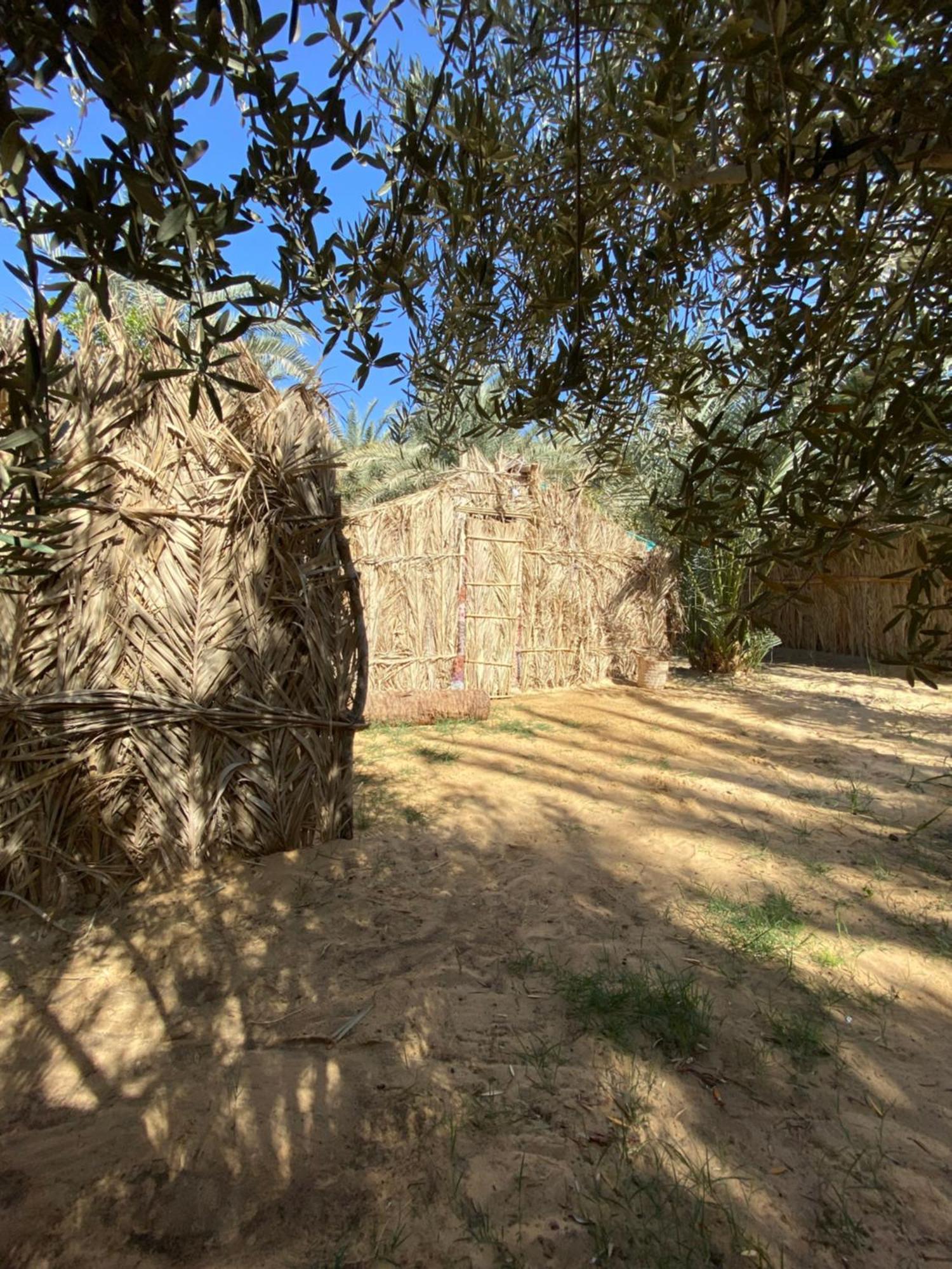 Forest Camp Siwa - كامب الغابة Szíva-oázis Kültér fotó