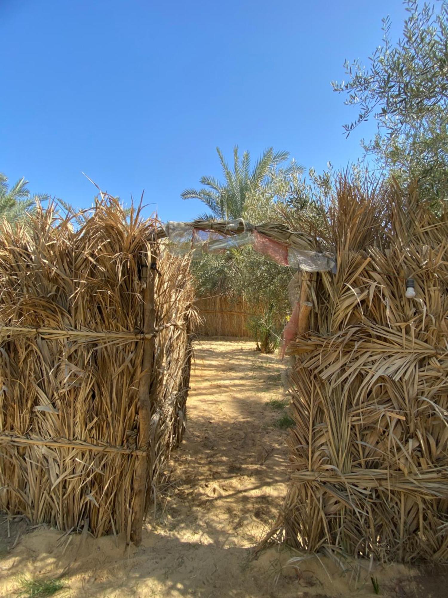 Forest Camp Siwa - كامب الغابة Szíva-oázis Kültér fotó