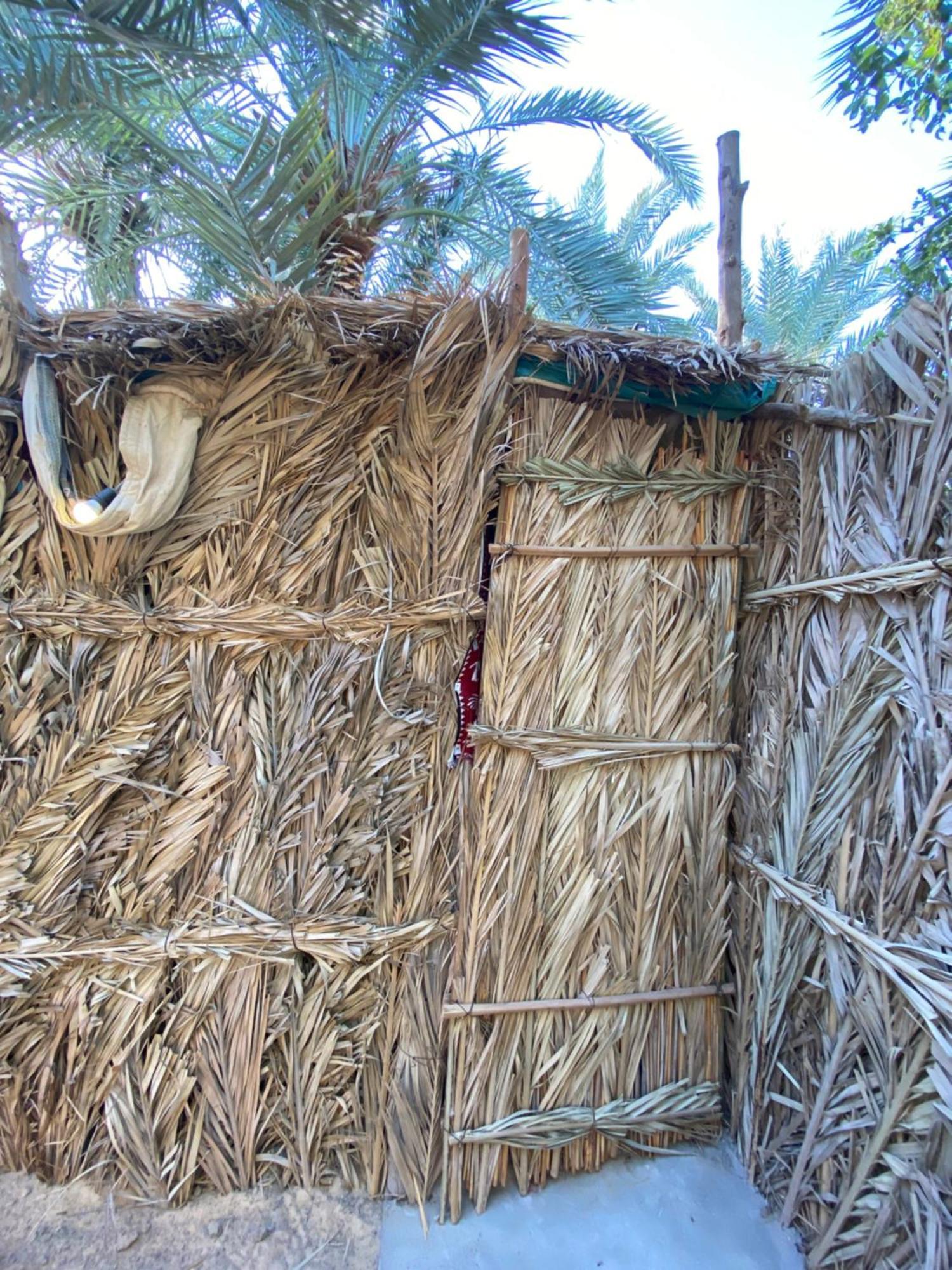 Forest Camp Siwa - كامب الغابة Szíva-oázis Kültér fotó