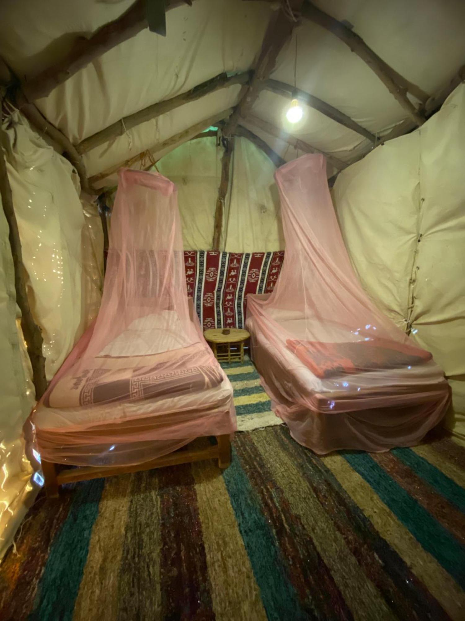 Forest Camp Siwa - كامب الغابة Szíva-oázis Kültér fotó