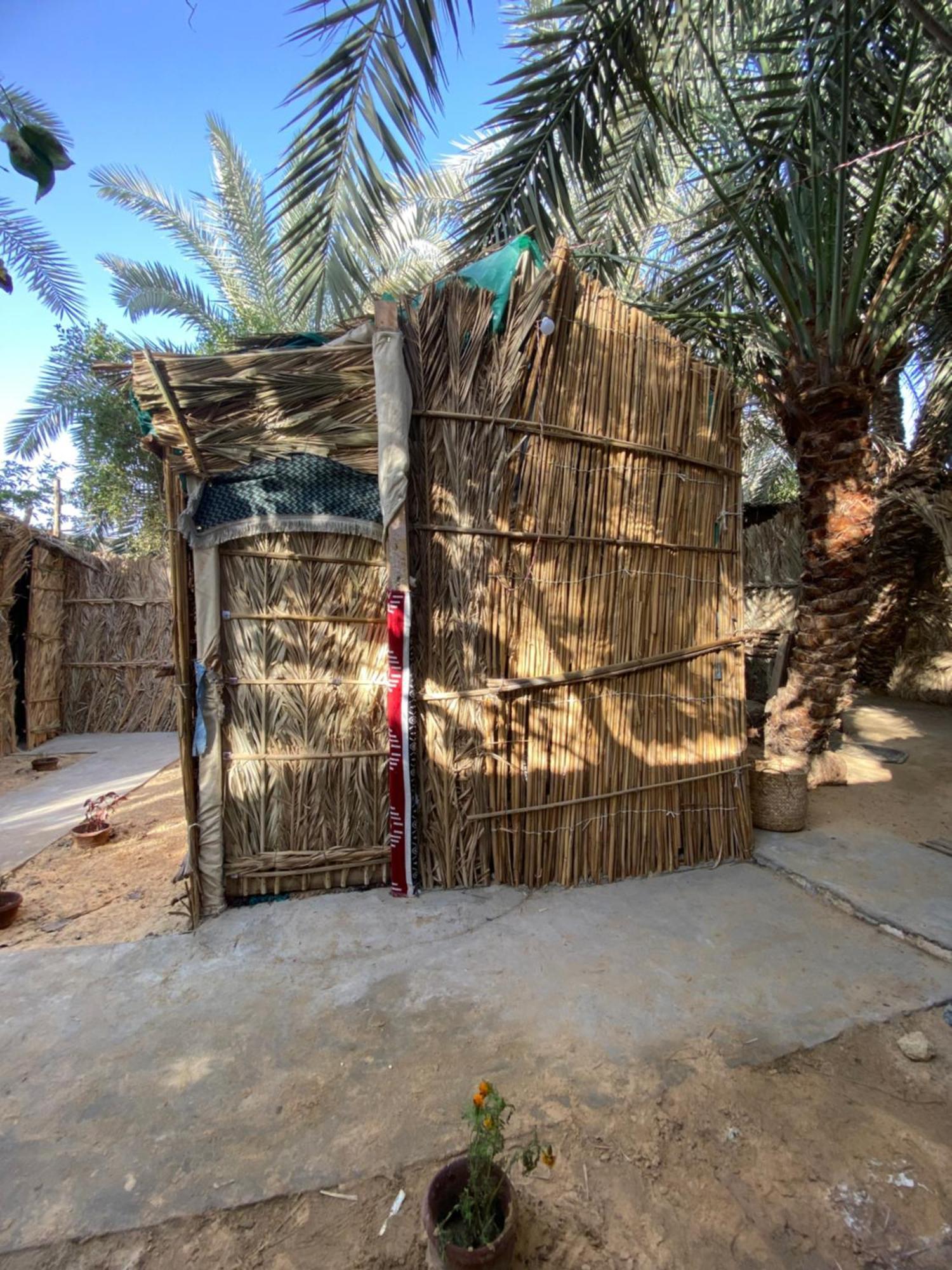 Forest Camp Siwa - كامب الغابة Szíva-oázis Kültér fotó